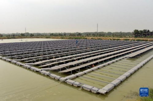 孟加拉國首個水上漂浮太陽能光伏發(fā)電站 綠色能源革新與技術(shù)服務(wù)新篇章
